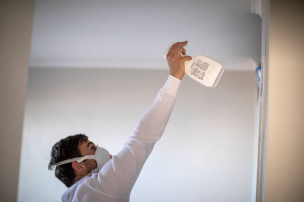 Best Commercial Mold Remediation in Chesapeake, WV