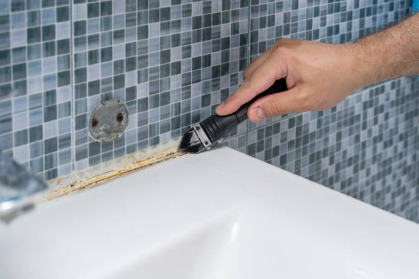 Best Kitchen Mold Remediation in Chesapeake, WV